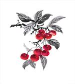 Branch of Rowan Artwork