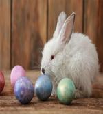 Rustic Egg Coloring artwork