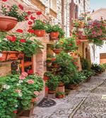 Small Medieval Town artwork