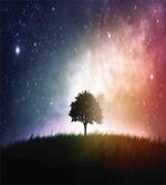 Tree in Field with Stars