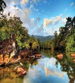 View of Jungle River