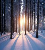 Sunset at Wintertime