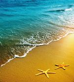 Caribbean Ocean