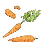 Carrot Pattern