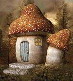 Mushroom Forest