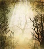 Mystical Sunbeams