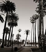 Los Angles Park View