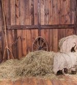 Old Stable artwork