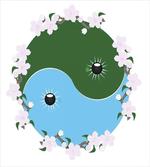Cherry Blossom of Japan