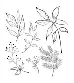 Sketched Botanical Theme