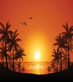 Tropic Sunset Trees Sun Sea