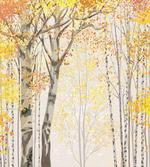 Birch Growth in Fall