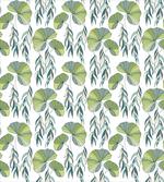Foliage Water Lilies