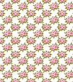 Blossoming Sakura Flowers