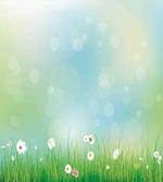 Spring Nature Field