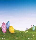 Eggs on the Hills Spring
