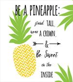 Be a Pineapple Phrase artwork