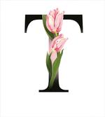 Spring Garden Flora T