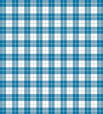 Scottish Checkered