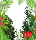 Hibiscus Anthurium Leaves