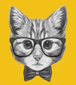 Baby Hipster Kitten Cat artwork