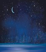 Snowy Winter Wonderland artwork