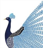 Exotic Peacock Feather