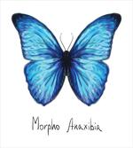 Abstract Butterfly