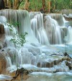 Waterfall Jungle Stream Tree