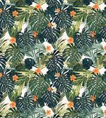 Colorful Polynesia Plant