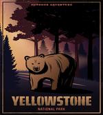 Bear at Yellowstone Forest