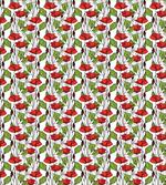 Close up View of Poppies