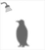Showering Animal