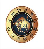 Circle Bull