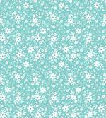 Lily Daisy Field