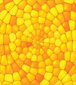 Abstract Corn Pattern