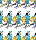 Tropic Colorful Parrots