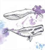 Grunge Mammals Murky Art