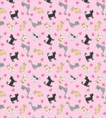 Colorful Different Cats
