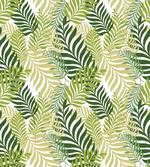 Tropic Exotic Palm Trees
