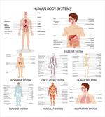 Different Bodies