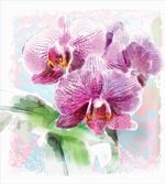 Posy of Hawaiian Plant Art