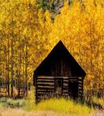 Farmhouse in Aspen Tree