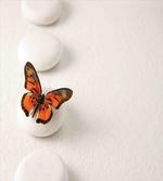 Butterfly Rocks Healing