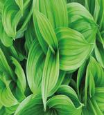 Tropic Foliage Pattern artwork