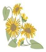 Bedding Plants Artwork