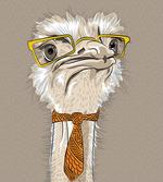 Funny Hipster Ostrich