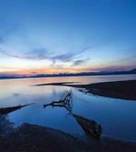 Lake Forest Nature