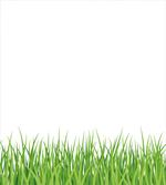 Fresh Grass Lawn Garden