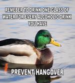 Mallard Duck with Words